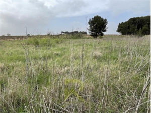 terrain agricole à la vente -   34290  SERVIAN, surface 4800 m2 vente terrain agricole - UBI469488353